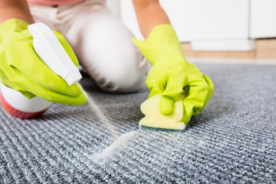 Carpet cleaning services