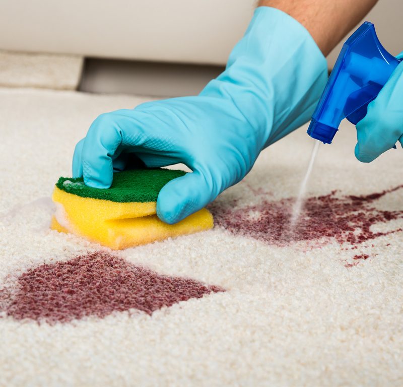 Specialised Cleaning Services - Carpet and upholstery cleaning