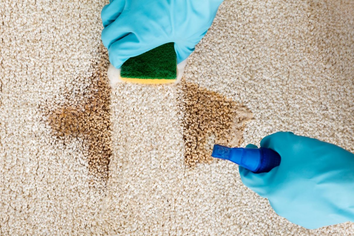 how-to-clean-a-dirty-rug-in-melbourne-master-cleaners