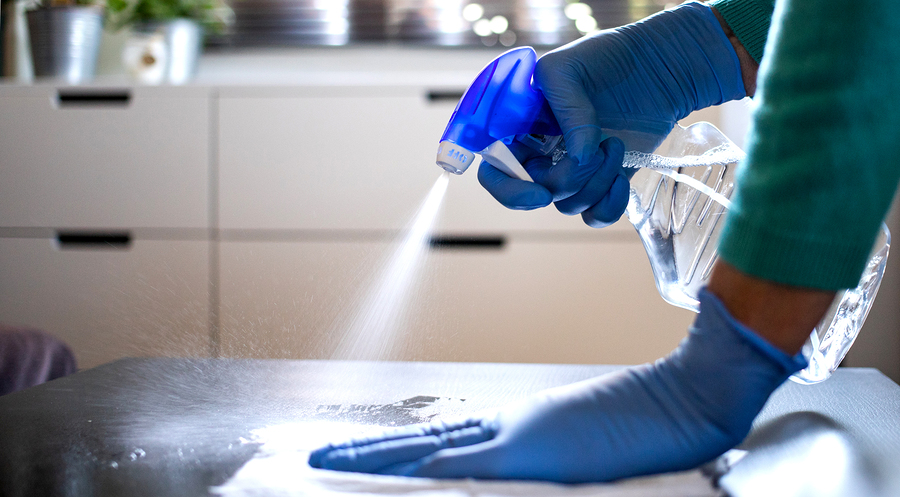 The Essence of Professional Mould and Mildew Removal and Cleaning Services