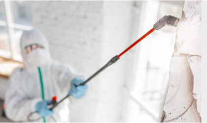 Mould Removal