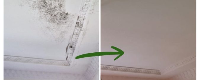 Mould - Before and After